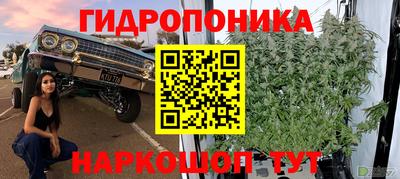 амф Рыбинск